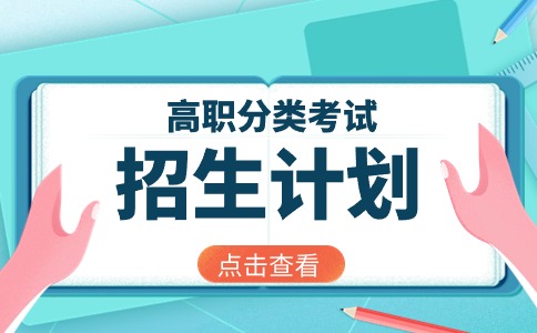 2024年湄洲灣職業技術學院高職分類招考招生計劃